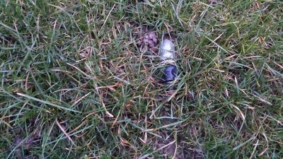 10913667_709390272509424_531067309_n.jpg (232.58 KiB) Osservato 531 volte 10913667_709390272509424_531067309_n.jpg