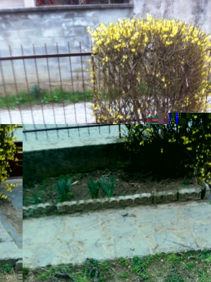 1r.jpg (286.36 KiB) Osservato 470 volte 1r.jpg