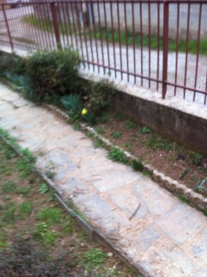 3r.jpg (249.9 KiB) Osservato 470 volte 3r.jpg