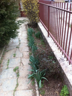 4r.jpg (329.71 KiB) Osservato 470 volte 4r.jpg