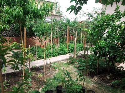 giardino. 20 maggio 2015.jpg (356.79 KiB) Osservato 1688 volte giardino. 20 maggio 2015.jpg