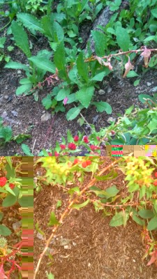 strana 111.jpg (367.43 KiB) Osservato 1335 volte strana 111.jpg