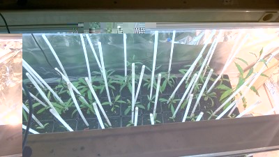 rsz_1wp_20151219_21_34_23_pro.jpg (116.4 KiB) Osservato 1608 volte rsz_1wp_20151219_21_34_23_pro.jpg