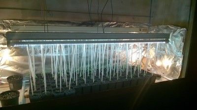 rsz_wp_20151219_21_34_05_pro.jpg (103.76 KiB) Osservato 1608 volte rsz_wp_20151219_21_34_05_pro.jpg