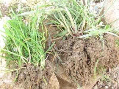 5192.jpg (51.99 KiB) Osservato 3208 volte 5192.jpg