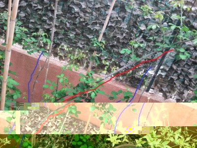20160502_115753.jpg (204.58 KiB) Osservato 1362 volte 20160502_115753.jpg