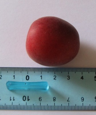 biricoccolo 2.jpg (113.22 KiB) Osservato 1342 volte biricoccolo 2.jpg