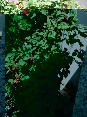 IMG-20160709-WA0008.jpg (218.57 KiB) Osservato 1333 volte IMG-20160709-WA0008.jpg