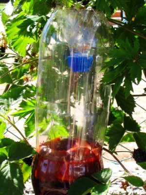 IMG_6426.JPG (226.82 KiB) Osservato 1370 volte IMG_6426.JPG