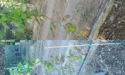 20160802_192057.jpg (158.07 KiB) Osservato 1073 volte 20160802_192057.jpg