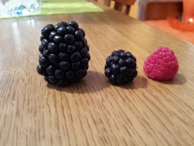 IMG-20160808-WA0040.jpg (211.5 KiB) Osservato 1120 volte IMG-20160808-WA0040.jpg