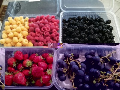 14022101_10154387387813396_8305125922979823883_n.jpg (69.17 KiB) Osservato 1181 volte 14022101_10154387387813396_8305125922979823883_n.jpg