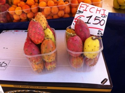 IMG_1786.jpg (89.45 KiB) Osservato 1149 volte IMG_1786.jpg