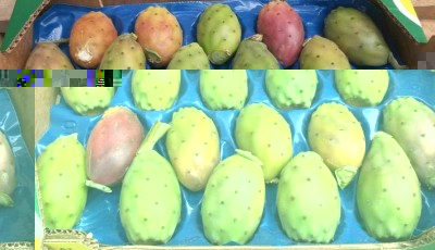 Ritaglio.jpg (68.49 KiB) Osservato 1149 volte Ritaglio.jpg