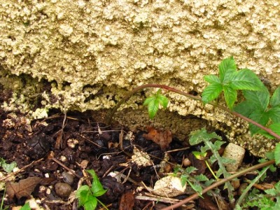 IMG_7150.JPG (283.59 KiB) Osservato 1265 volte IMG_7150.JPG