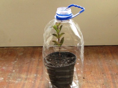 5.jpg (144.64 KiB) Osservato 9472 volte 5.jpg