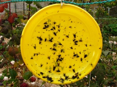 IMG_7522.JPG (207.02 KiB) Osservato 1405 volte IMG_7522.JPG