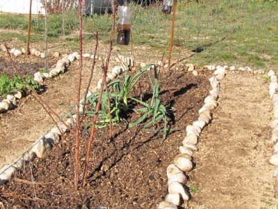 IMG_7643.JPG (285.67 KiB) Osservato 1069 volte IMG_7643.JPG