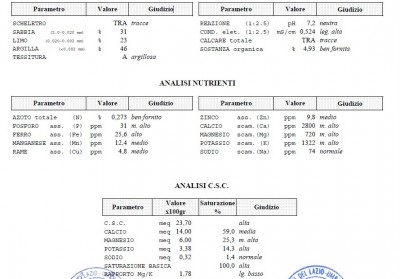 analisi / Immagine.jpg Immagine.jpg