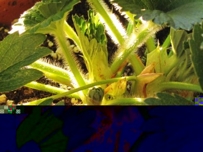 IMG_7747.JPG (200.56 KiB) Osservato 1123 volte IMG_7747.JPG