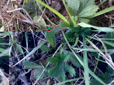 IMG_0930.JPG (175.67 KiB) Osservato 1396 volte IMG_0930.JPG