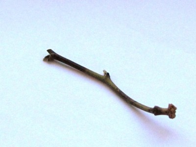 IMG_8267.JPG (136.68 KiB) Osservato 1087 volte IMG_8267.JPG