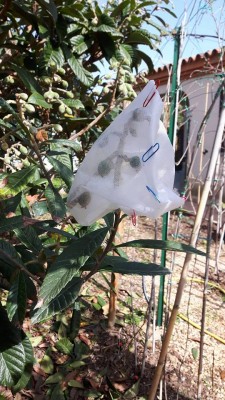 anti mosche.jpg (113.97 KiB) Osservato 1006 volte anti mosche.jpg