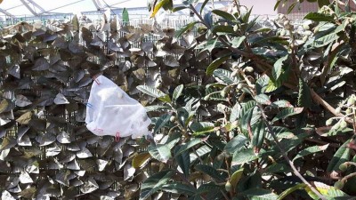 anti mosche 2.jpg (255.9 KiB) Osservato 1006 volte anti mosche 2.jpg