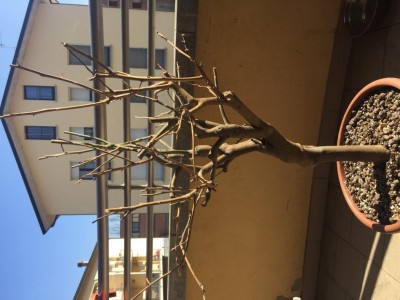 image.jpg (89.89 KiB) Osservato 1746 volte image.jpg