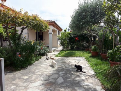 Ingresso di casa mia 20 aprile 2017.jpg (326.84 KiB) Osservato 757 volte Ingresso di casa mia 20 aprile 2017.jpg