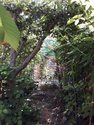 Terzo ingresso.jpg (175.91 KiB) Osservato 790 volte Terzo ingresso.jpg