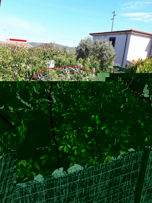 tettoia mora sarda.jpg (385.89 KiB) Osservato 783 volte tettoia mora sarda.jpg