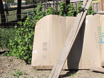 IMG_9088.JPG (137.44 KiB) Osservato 837 volte IMG_9088.JPG