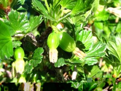 IMG_9097.JPG (196.83 KiB) Osservato 835 volte IMG_9097.JPG