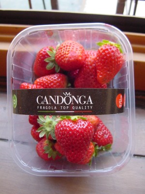 DSC04953.JPG (142.96 KiB) Osservato 828 volte DSC04953.JPG