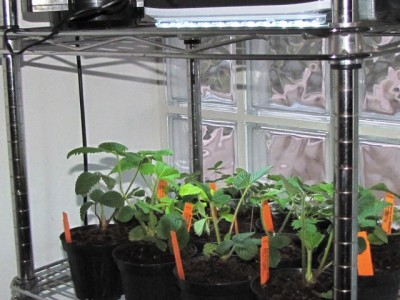 IMG_9267.JPG (180.5 KiB) Osservato 799 volte IMG_9267.JPG