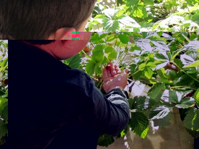 IMG_9270.JPG (195.18 KiB) Osservato 693 volte IMG_9270.JPG