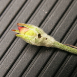 a654819e89.jpg a654819e89.jpg