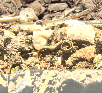 IMG_9413 (1).JPG (184.22 KiB) Osservato 711 volte IMG_9413 (1).JPG