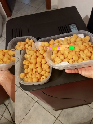 2 kg lamponi gialli.jpg (83.62 KiB) Osservato 790 volte 2 kg lamponi gialli.jpg