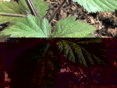 20170525_182108.jpg (131.79 KiB) Osservato 866 volte 20170525_182108.jpg