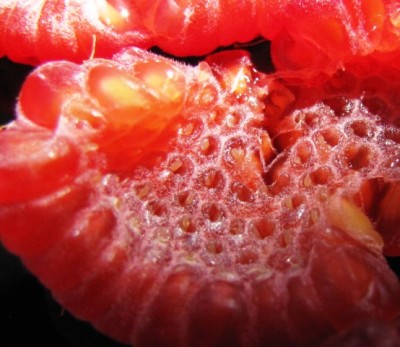 IMG_0292.JPG (100.56 KiB) Osservato 710 volte IMG_0292.JPG