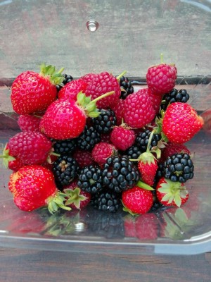 IMG_20170711_191715_001_COVER-1224x1632.jpg (128.87 KiB) Osservato 660 volte IMG_20170711_191715_001_COVER-1224x1632.jpg