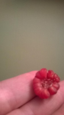 WP_20170711_002.jpg (30.37 KiB) Osservato 673 volte WP_20170711_002.jpg