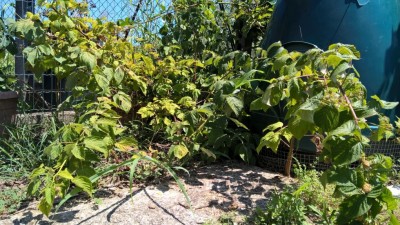 WP_20170718_13_34_30_Pro.jpg (171.39 KiB) Osservato 2586 volte WP_20170718_13_34_30_Pro.jpg