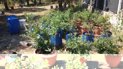 20170717_111135.jpg (169.58 KiB) Osservato 874 volte 20170717_111135.jpg