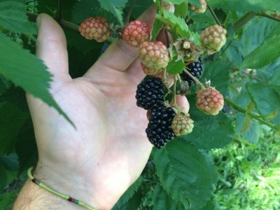 Lock tay / IMG_0239.JPG IMG_0239.JPG