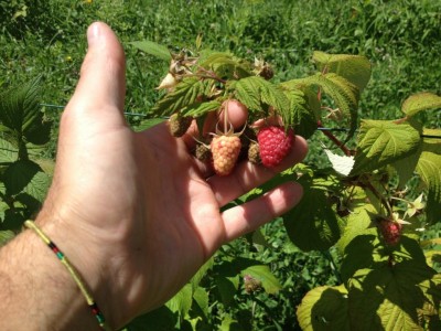 Polka / IMG_0237.JPG IMG_0237.JPG