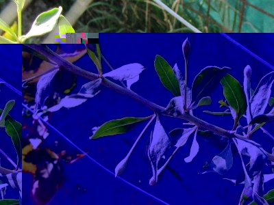 IMG_0754.JPG (111.3 KiB) Osservato 843 volte IMG_0754.JPG