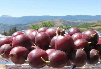 IMG_0761.JPG (70.56 KiB) Osservato 795 volte IMG_0761.JPG